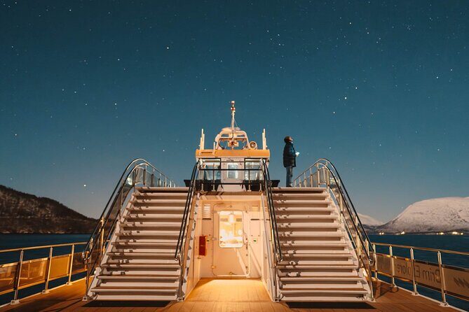 Tromso Aurora Cruise with 3-Course Dinner - The Dinner Reality: Cozy Indoors, Fish-Forward Courses, and Dessert Wins