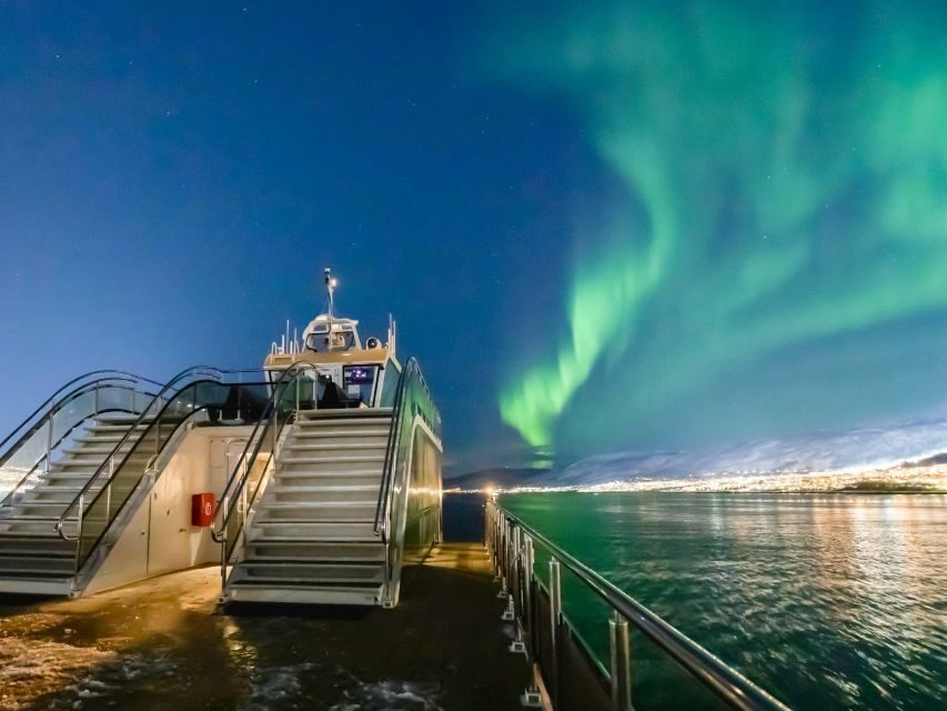 Tromsø: Aurora Dinner Cruise by Hybrid-Electric Catamaran - Key highlights you’ll actually feel during the cruise