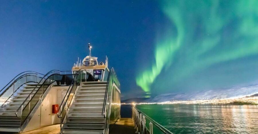 Tromsø: Aurora Dinner Cruise by Hybrid-Electric Catamaran - Food tasting viewpoint: the warm-up that sets the mood