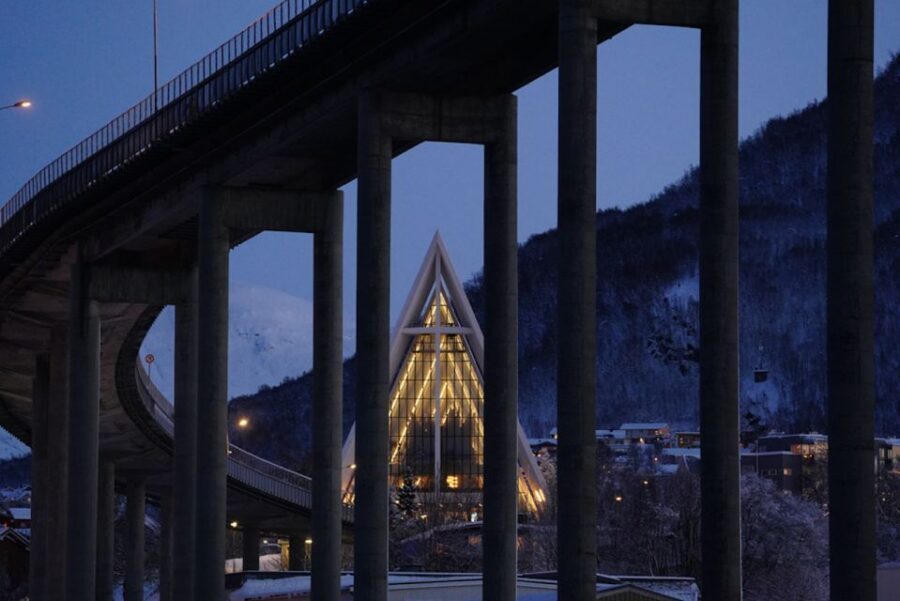 Tromsø: Aurora Dinner Cruise by Hybrid-Electric Catamaran - The secret stop dinner: arctic seafood, local flavors, and a real nighttime cruise