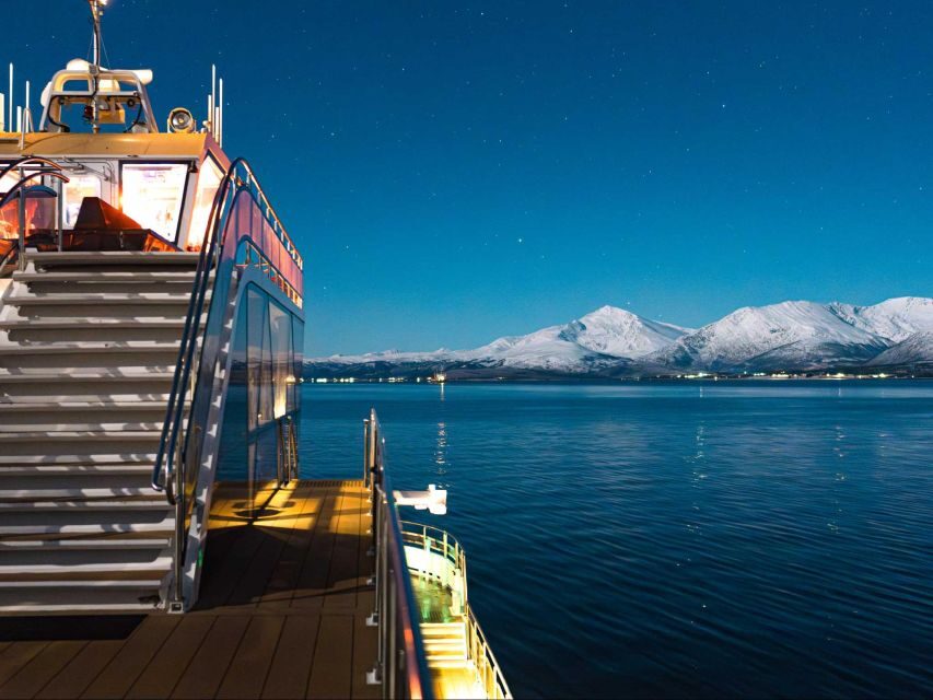 Tromsø: Aurora Dinner Cruise by Hybrid-Electric Catamaran - The silent catamaran experience: warm cabins and 360-degree views