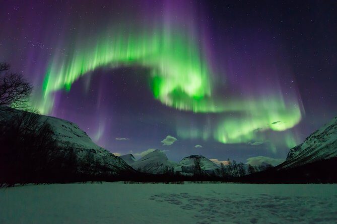 Tromso Aurora Hunt with Bonfire, Soup, Winter Gear & Transfers - The Bonfire Camp, Soup, and the Real Reason This Tour Works
