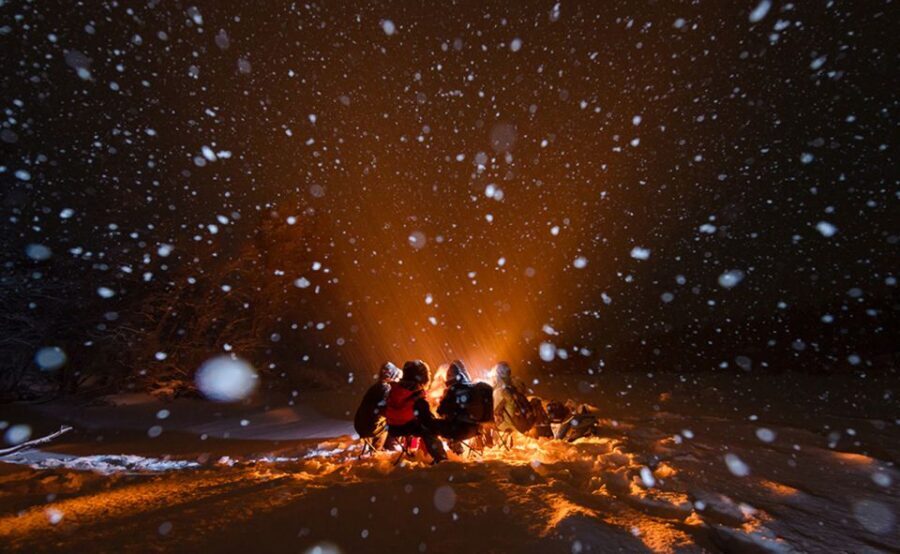 Tromsø: Aurora Hunt with Citizen Science - Citizen Science in the Real Arctic World