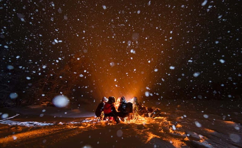 Tromsø: Aurora Hunt with Citizen Science - Safety, Roads, and Who This Tour Fits