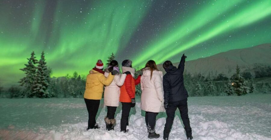 Tromsø: Aurora Safari Chase by big bus with Camp meal - Should You Book It?