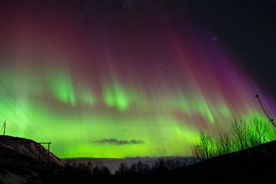 Tromsø: Aurora Tour with Photos, Campfire and Arctic Food - FAQ