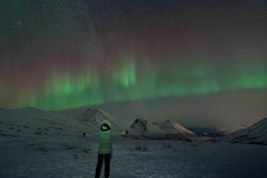 Tromsø: Aurora Tour with Photos, Campfire and Arctic Food - Campfire BBQ, reindeer sausage, and chai tea that you’ll remember