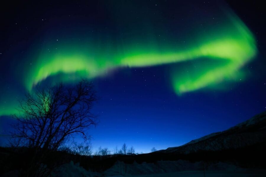 Tromsø Chinese Aurora Tour - Bonfire Breaks and Warm Food That Keep You Out There