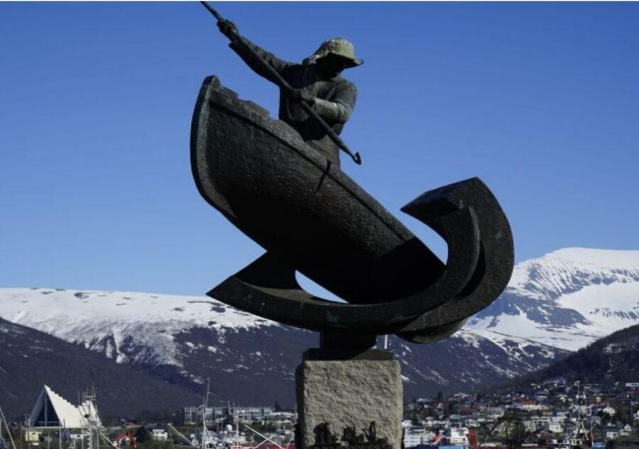 Tromso: City Highlights Guided Walking Tour - Polaria Aquarium Option After 14:00