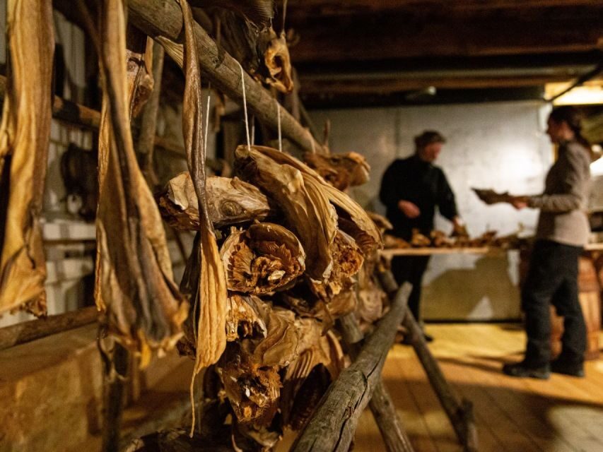 Tromso: Cod-Tasting Tour with Full Steam Museum Entry - Should you book the Cod Tasting Tour plus Full Steam entry?