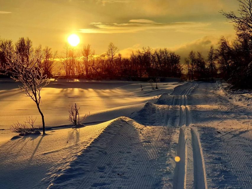 Tromsø: Cross Country Guided Skiing Course - Tromsøya segment: photo stop, guided trail time, and wildlife spotting