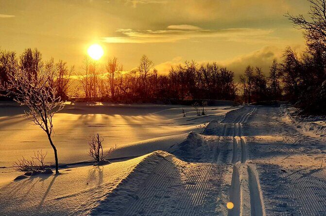 Tromsø Cross-Country Ski Adventure - First Tracks at Charlottenlund: Meeting Point and Timing