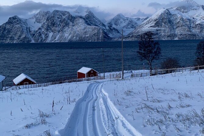 Tromsø Cross-Country Ski Adventure - The Scenic Break: Warm Drink and Norwegian Sweet Treats