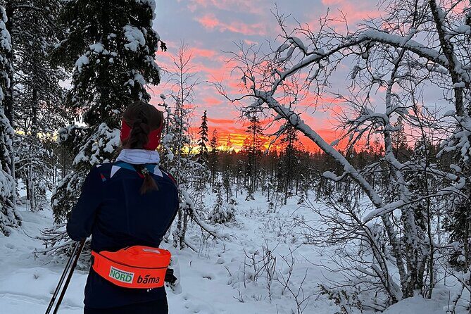 Tromsø Cross-Country Ski Adventure - Price and Value: What $128.03 Buys You in Tromsø