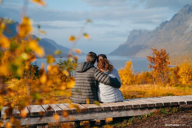 Tromsø: Day trip to the island of Sommarøy through the Fjords - Should you book this Sommarøy fjords and photo tour?