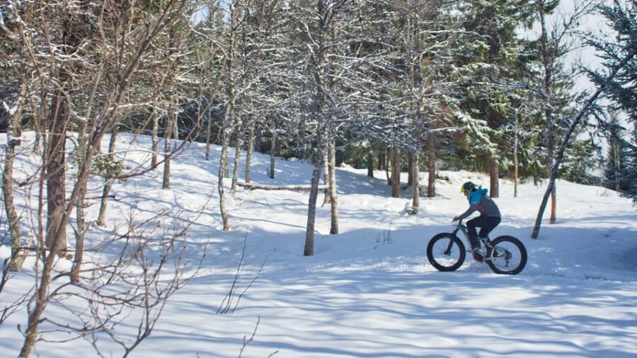Tromsø: Electric fatbike trip on winter paths - From city lights to Tromsømarka winter paths