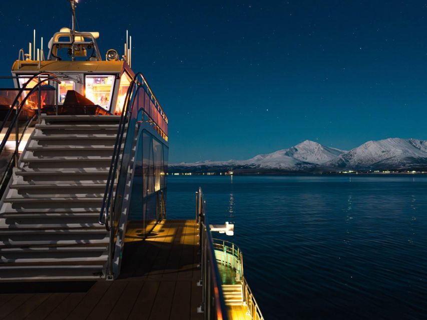 Tromsø: Electric Northern Lights Cruise - Should You Book Brim Explorer’s Tromsø Electric Aurora Cruise?