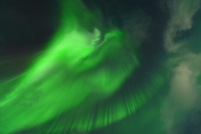 Tromsø: English/Spanish Aurora Pathfinder Tour with Photos - Key highlights you should care about