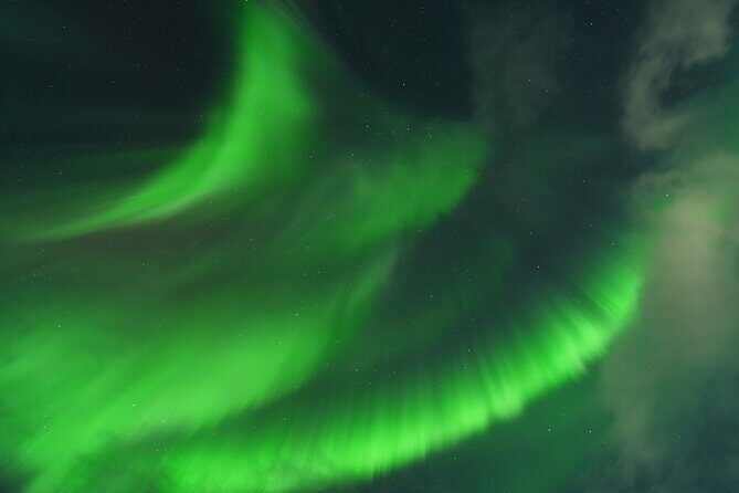 Tromsø: English/Spanish Aurora Pathfinder Tour with Photos - The start: meeting at Fredrik Langes gate at 6:00 pm