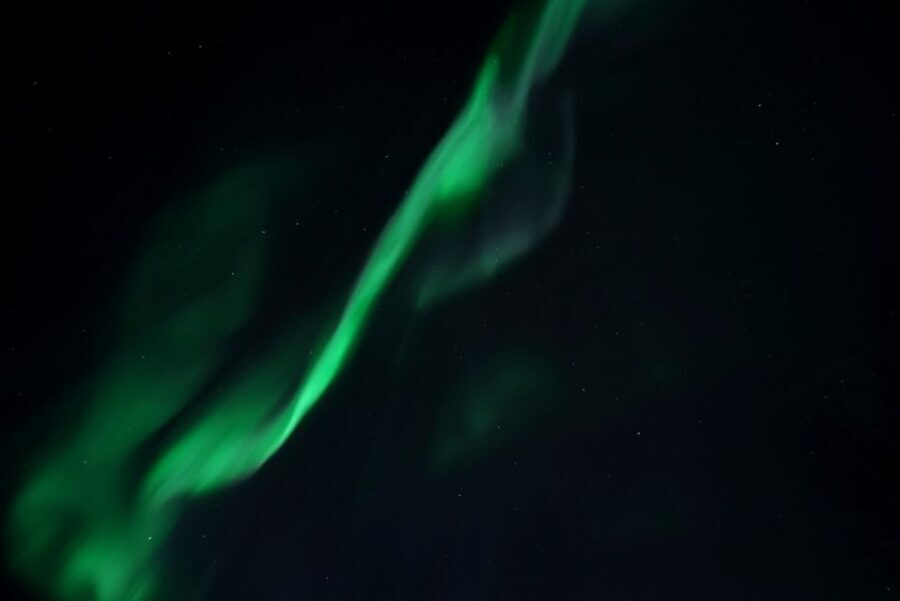 Tromsø: Evening Aurora Cruise (dinner optional) - Quick hits before you go