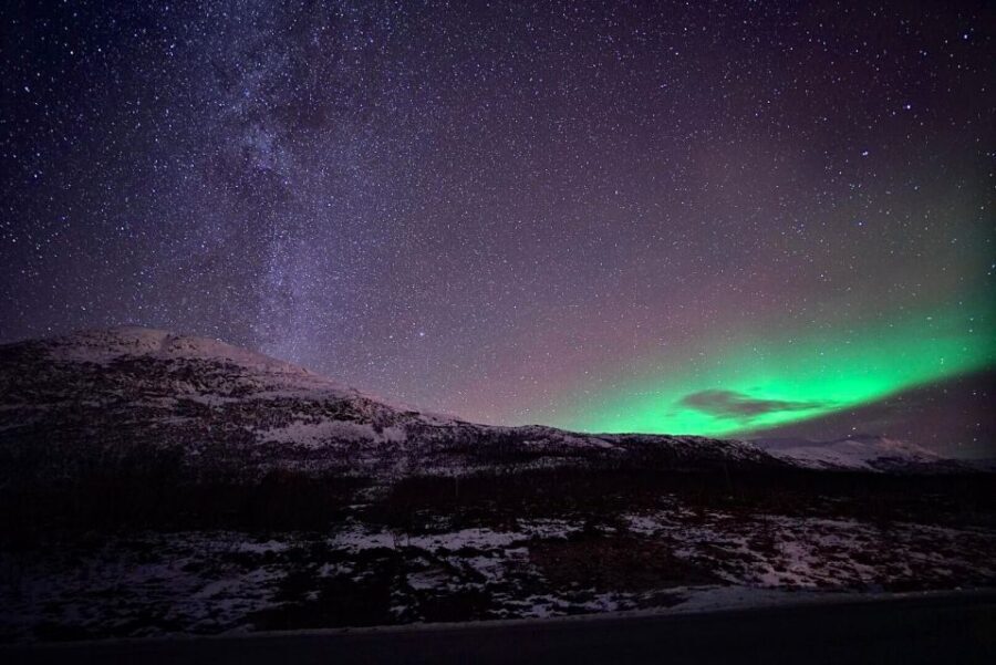 Tromsø: Evening Aurora Cruise (dinner optional) - Chasing the Green Lady from Tromsø’s waterline
