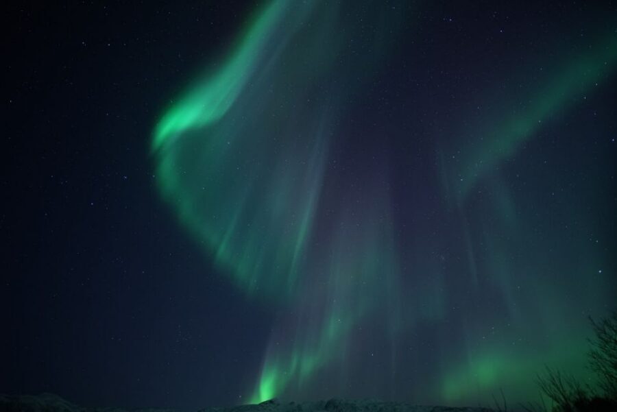 Tromsø: Evening Aurora Cruise (dinner optional) - Photography help without a photo package