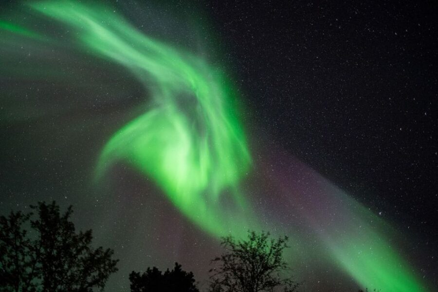 Tromsø: Evening Aurora Cruise (dinner optional) - What’s included on board (and why it’s worth it)