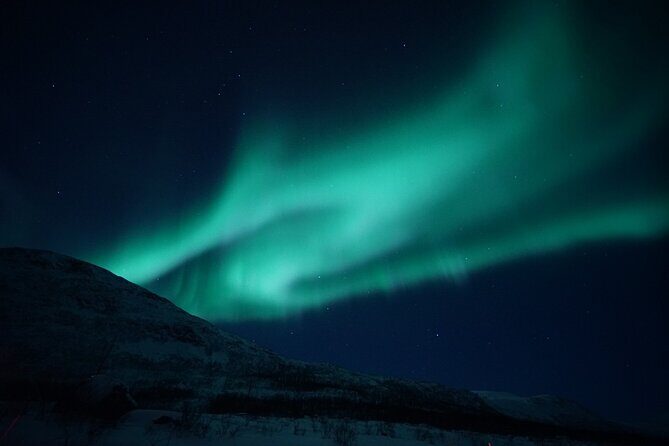 Tromsø: Evening Cruise with Northern Lights Opportunity - Key things to know before you go