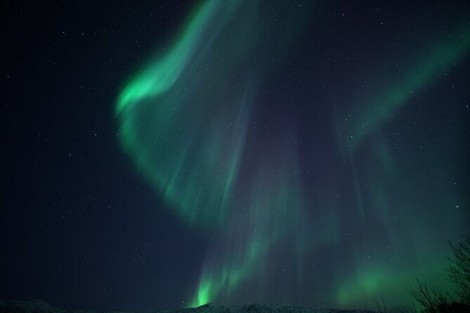 Tromsø: Evening Cruise with Northern Lights Opportunity - Why Tromsø Northern Lights by boat feels worth it