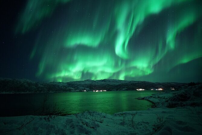 Tromsø: Evening Cruise with Northern Lights Opportunity - Thermal suits and warm drinks: the comfort math
