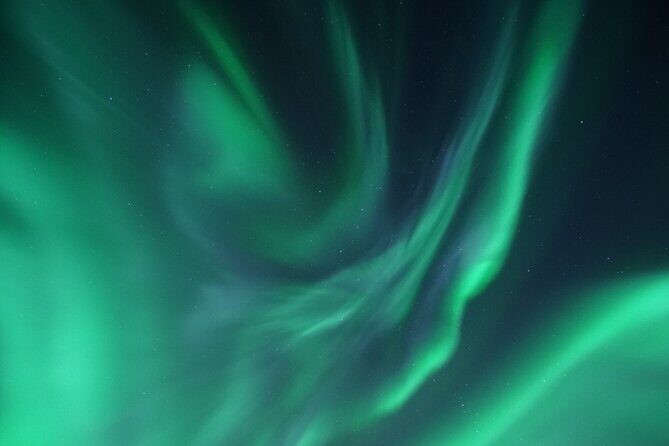 Tromsø: Evening Cruise with Northern Lights Opportunity - Meeting point and timing: avoid the common Tromsø trap