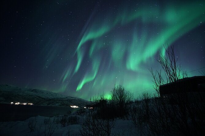 Tromsø: Evening Cruise with Northern Lights Opportunity - Should you book this Tromsø Northern Lights boat cruise?