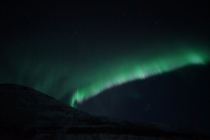 Tromsø: Evening Cruise with Northern Lights Opportunity - The 8:00 pm cruise: what actually happens on board