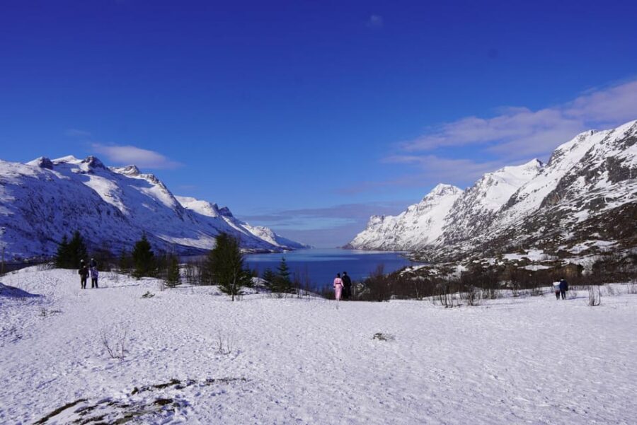 Tromsø: Exclusive Fjord Adventure by Bus - Key points before your Tromsø fjord adventure