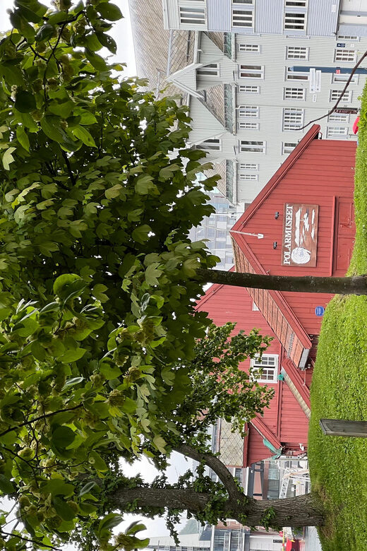 TROMSØ: Explore The City And a Guided Tour Of PolarMuseum! - Port area and Skansen: connecting everyday life to polar adventures