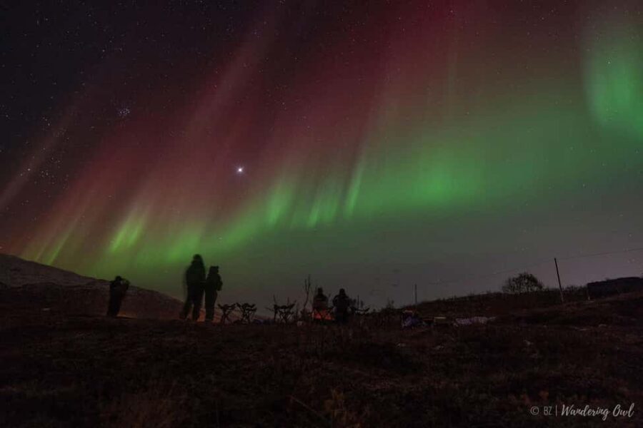 Tromsø: Express Aurora Hunt - One consideration: you’ll still need the right winter gear