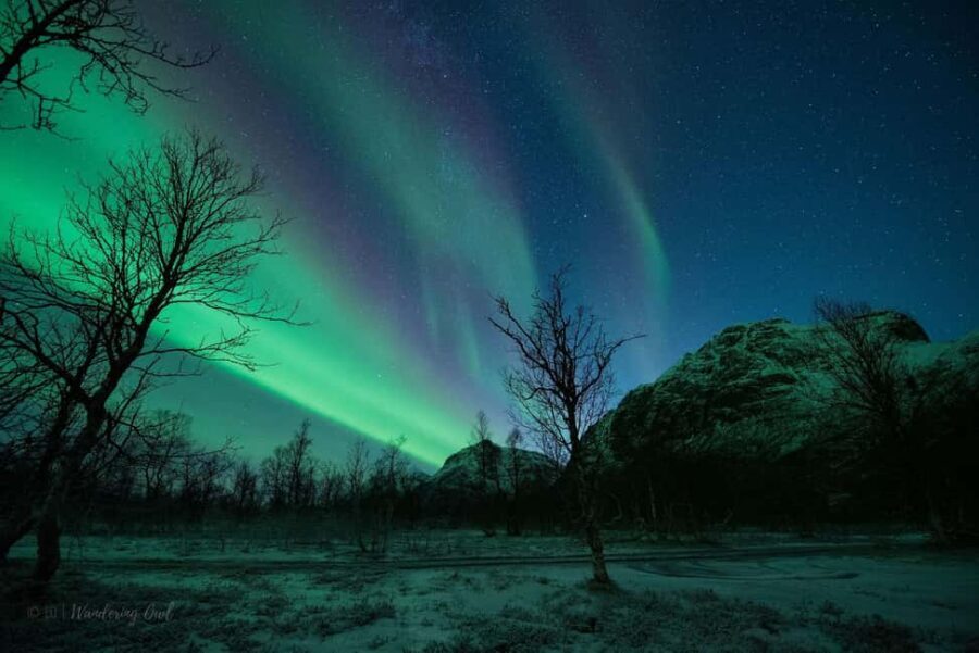 Tromsø: Express Aurora Hunt - The exact flow: pickups, guided time, and drop-offs