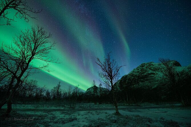 Tromsø: Express Aurora Hunt with Wandering Owl - The viewing experience: what you’re actually doing outside