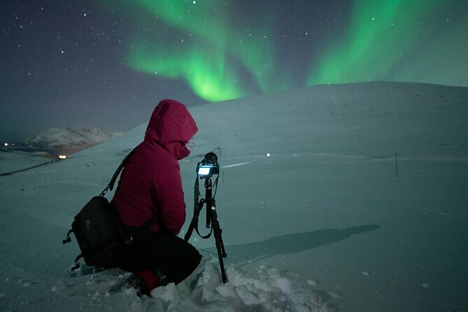 Tromsø: Express Aurora Hunt with Wandering Owl - Price and value: is $129.23 a smart move?