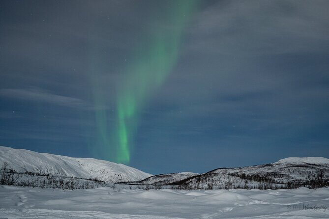 Tromsø: Express Aurora Hunt with Wandering Owl - Photos after the hunt: good souvenirs, watch the cost