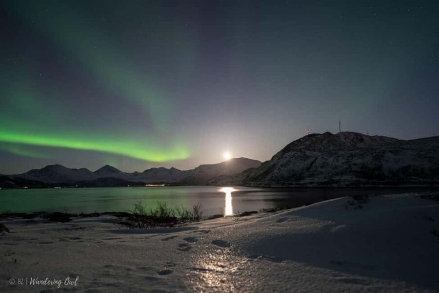 Tromsø: Express Aurora Hunt - Key highlights at a glance