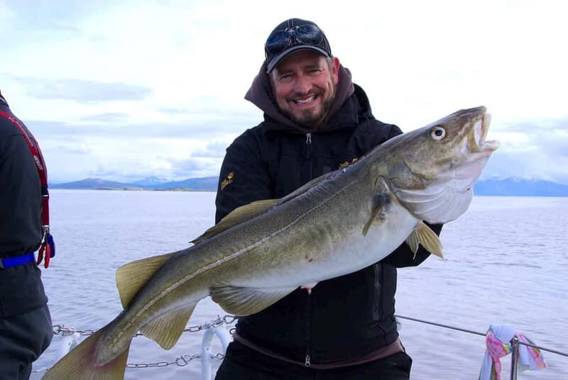 Tromsø: Fishing Sea Safari - Itinerary Walkthrough From Killengreens gate 7-11