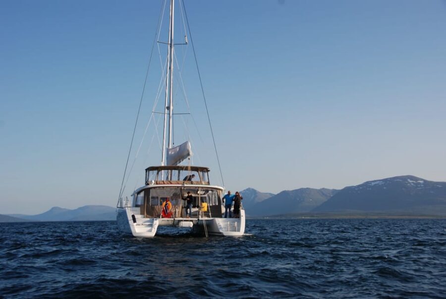 Tromsø: Fjord and Islands Luxury Catamaran Cruise - Price and Value: Is $208 per Person Worth It?