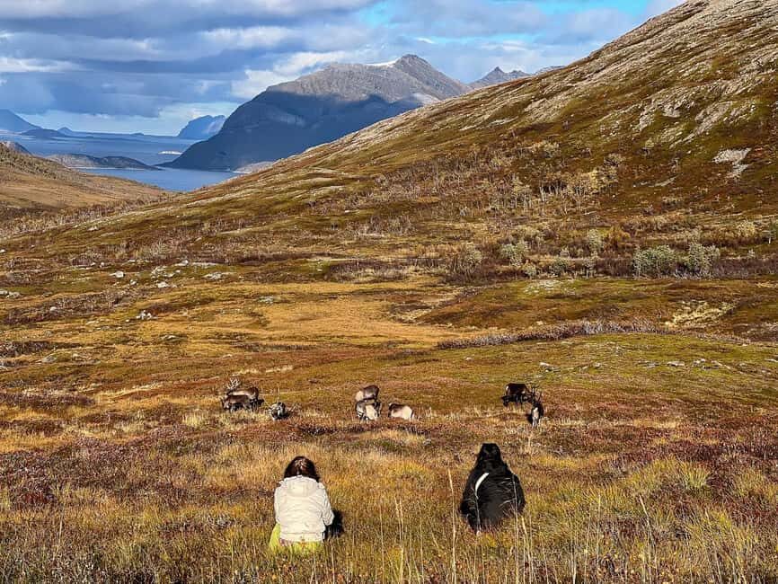 Tromso: Fjord Arctic Adventure Expedition - Warm gear, warm drinks, and staying comfortable in Arctic weather