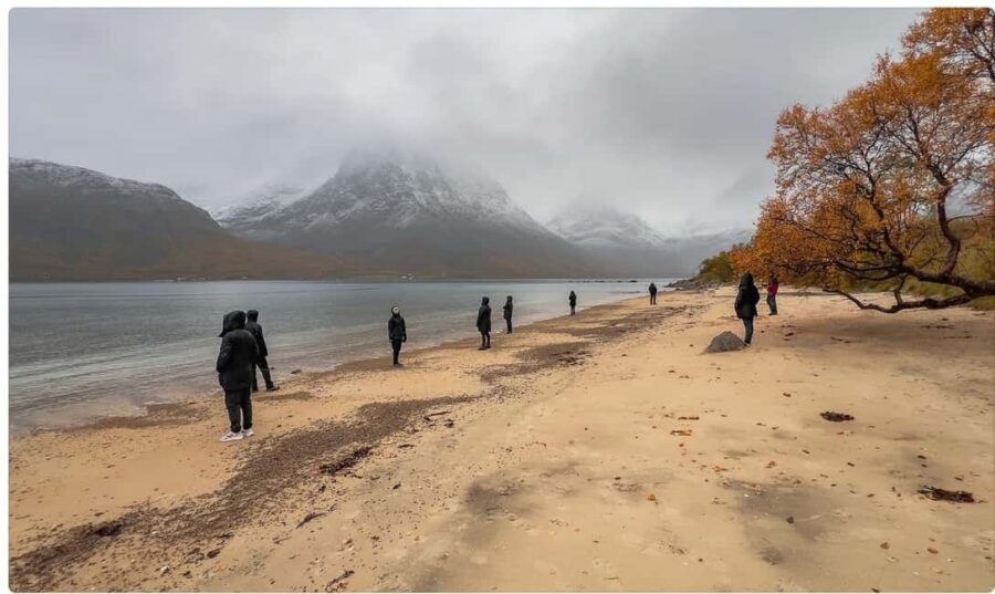 Tromso: Fjord Arctic Adventure Expedition - Weather, daylight, and how the guide handles changing conditions