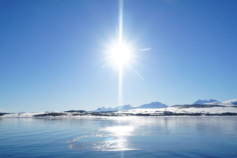 Tromsø: Fjord Cruise by Luxury Yacht - Warm drinks and fish soup: the meal that drives reviews