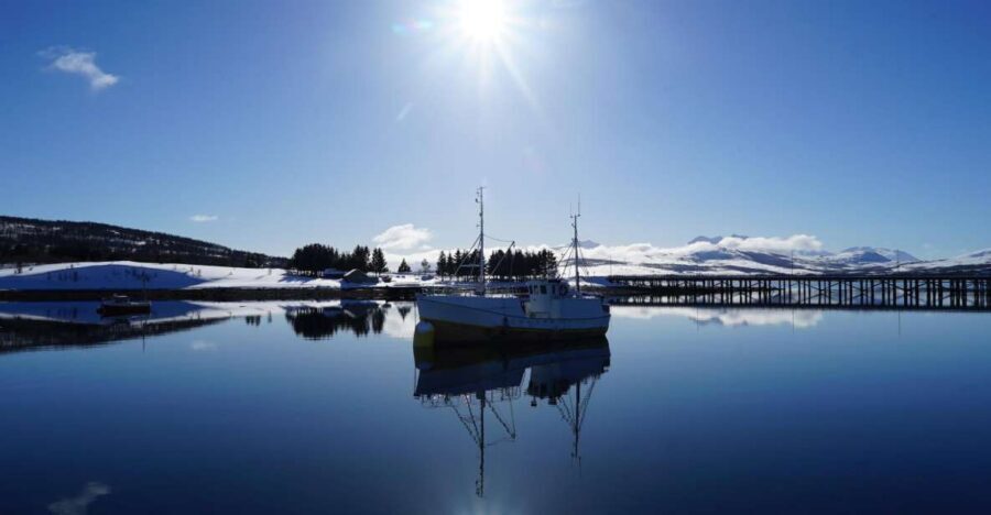 Tromsø: Fjord Cruise by Luxury Yacht - Fishing and captaining: small extras that change the mood