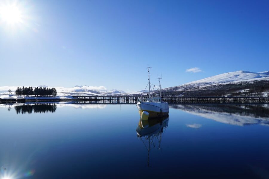 Tromsø: Fjord Cruise by Luxury Yacht - The guide makes the difference (and you can feel it)