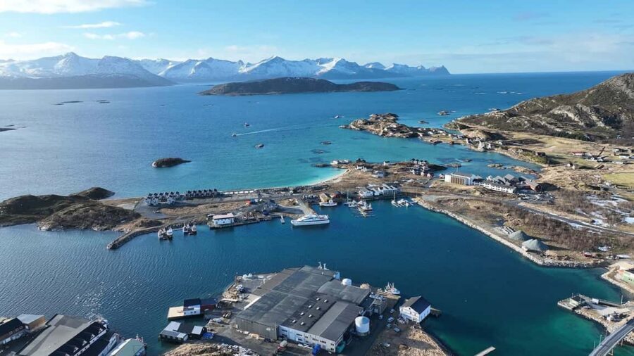 Tromsø Fjord Cruise - With a stop at Sommarøy Island - Key Things I’d Prioritize on This Cruise