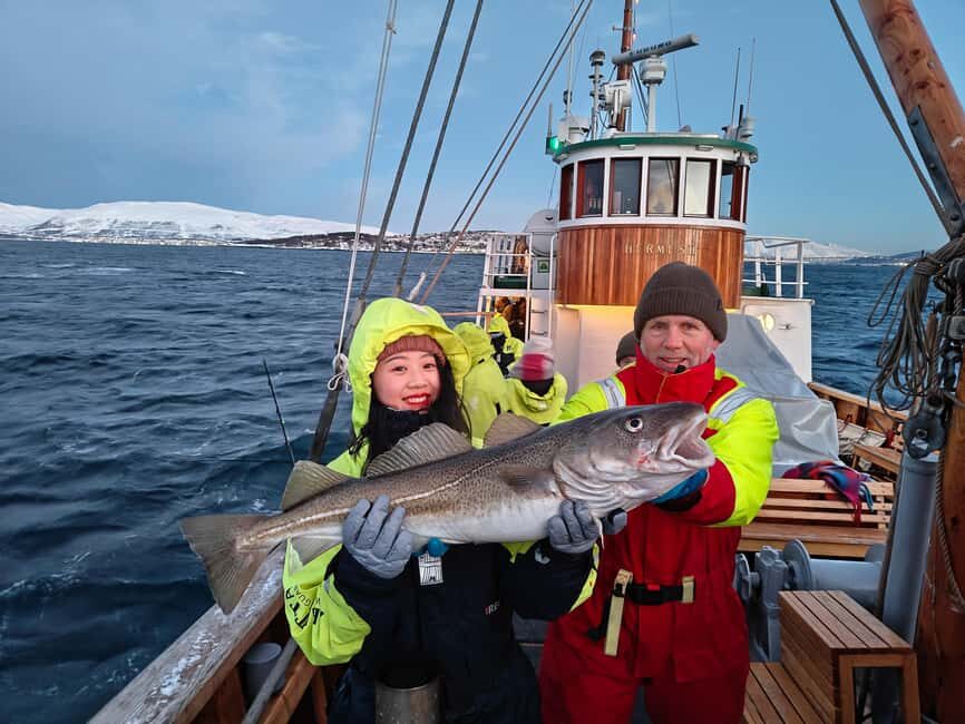 Tromsø: Fjord Fishing Cruise - Fjord fishing that actually works: rods, rotation, and real guidance
